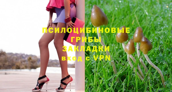 mdma Няндома