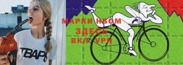 стаф Бежецк