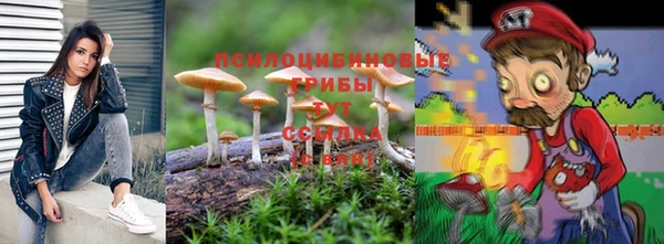 PSILOCYBIN Верхний Тагил