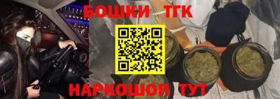 гашик Гатчина