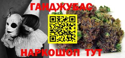 гашик Гатчина