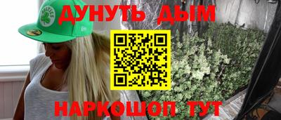 гашик Гатчина