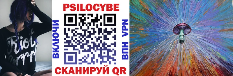 Псилоцибиновые грибы Cubensis kraken как войти Муром