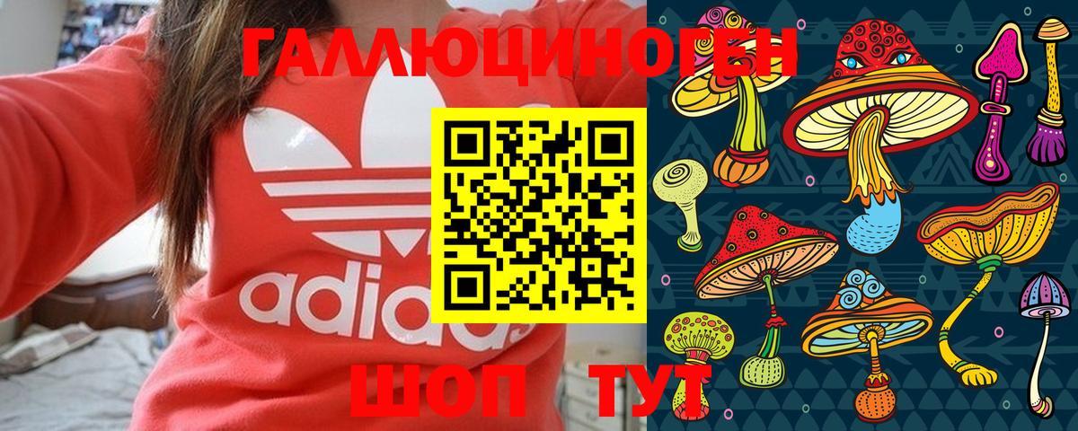 Псилоцибиновые грибы GOLDEN TEACHER Муром