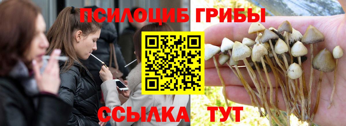 Псилоцибиновые грибы Psilocybine cubensis  Вход с VPN  Муром 